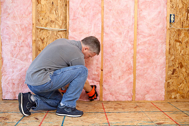 Best Energy Efficiency Insulation in Pleasant Run Farm, OH