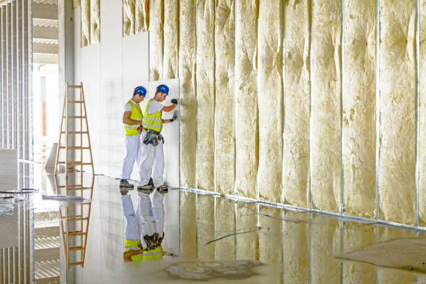 Best Insulation Maintenance and Repair in Pleasant Run Farm, OH